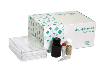 Virax Biolabs CEO James Foster Shares Strategic Priorities and Upcoming Milestones